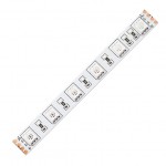 RGB DIŞ MEKAN ŞERİT LED METREDE 60 LED 12V-24V